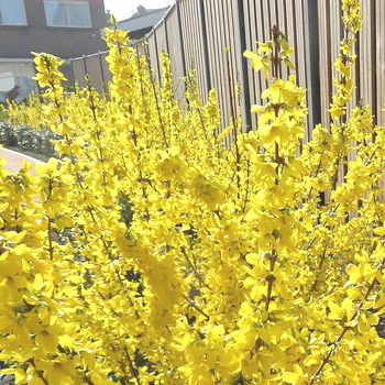 Samedi 22 mars 2025 – Réunion de l&rsquo;Unité Amateur Rhône Alpes