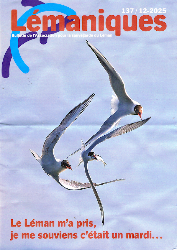 Effets insoupçonnés des tempêtes sur les oiseaux pélagiques.